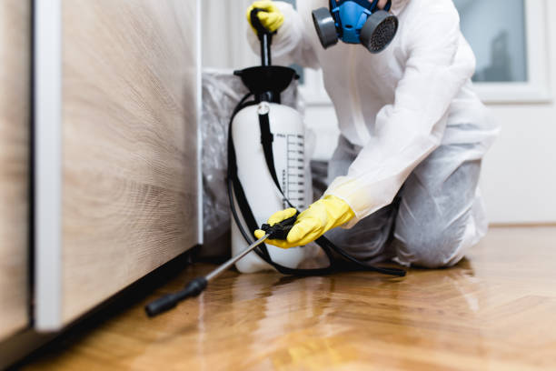 Best Pest Prevention Services  in Bellmore, NY