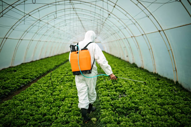 Best Affordable Pest Control Services  in Bellmore, NY