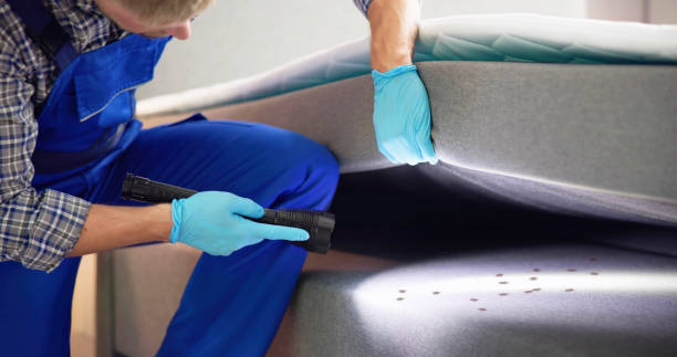 Best Best Pest Control Companies  in Bellmore, NY