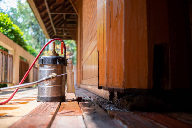 Best Termite Control Services  in Bellmore, NY