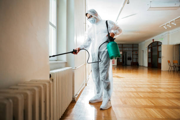 Best Bed Bug Extermination  in Bellmore, NY